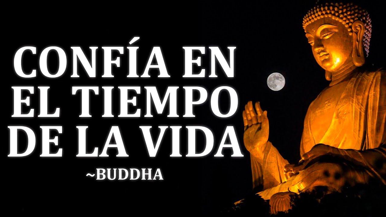 (SIN ANUNCIOS) 