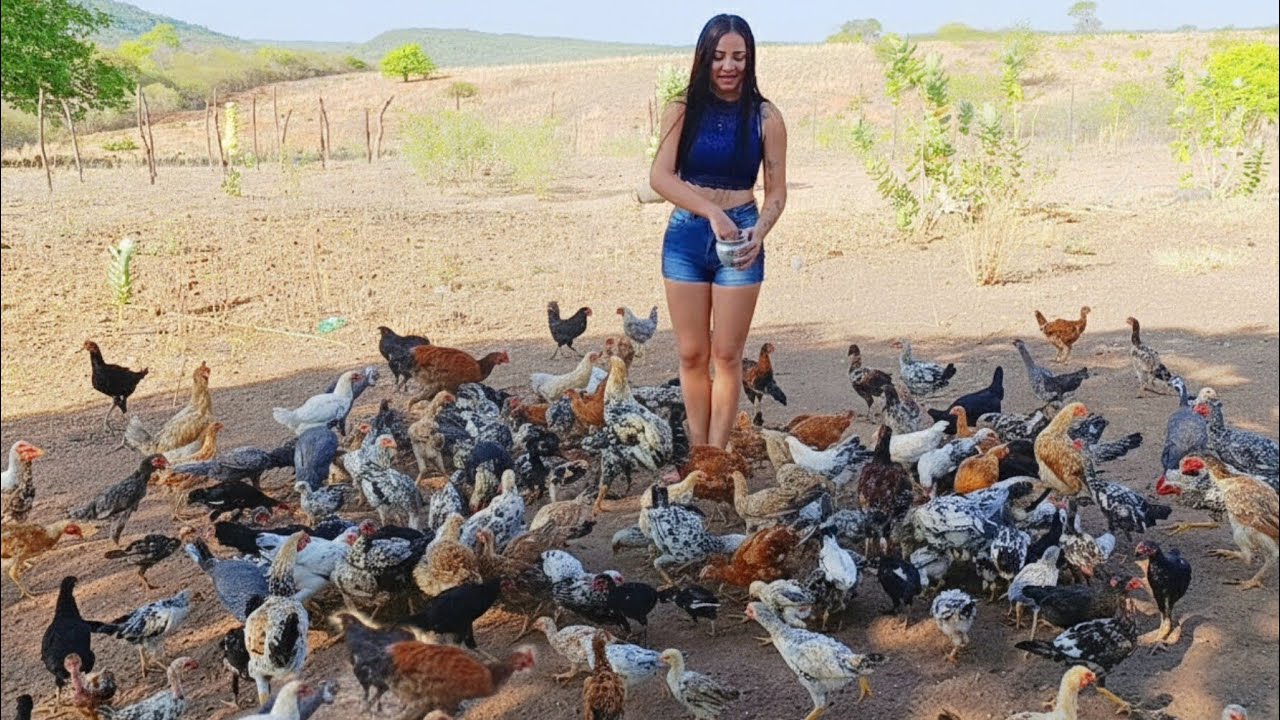 VEJA A GRANDE CRIAÇÃO NO SÍTIO 😱
