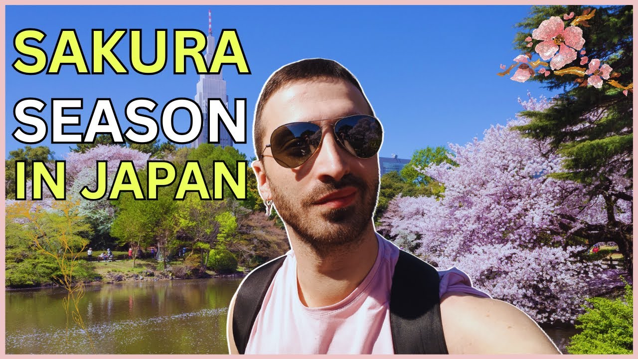 Sakura Season In Tokyo: Exploring Shinjuku Gyoen