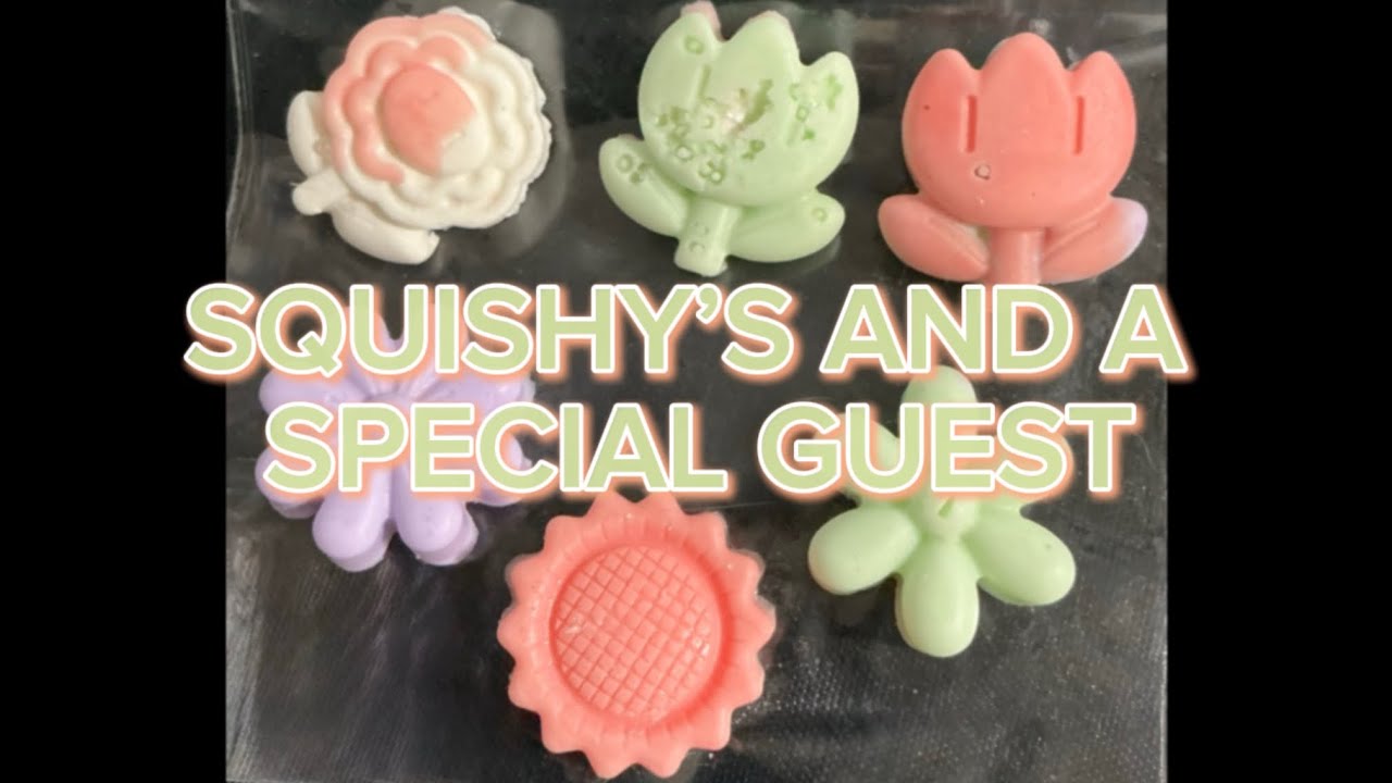 #36 Let’s make some Squishy’s with our Special Guest| #squishy #squishies #squish 