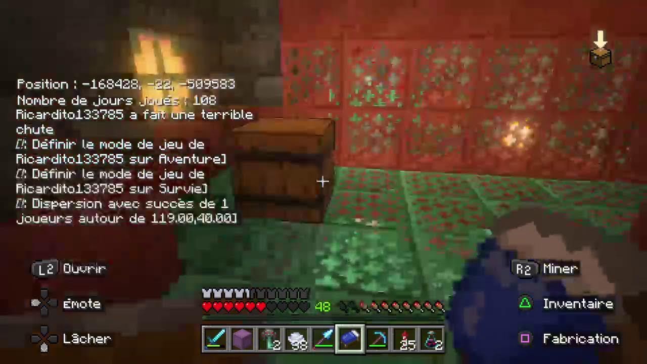 Minecraft chill je suit chill