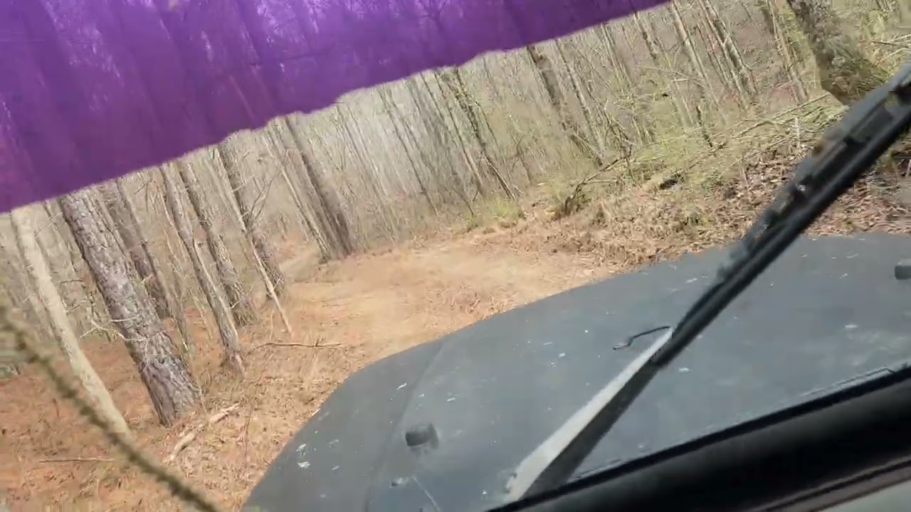 Talladega National Forest 515 Road part 2 #trailriding #jeepwrangler 