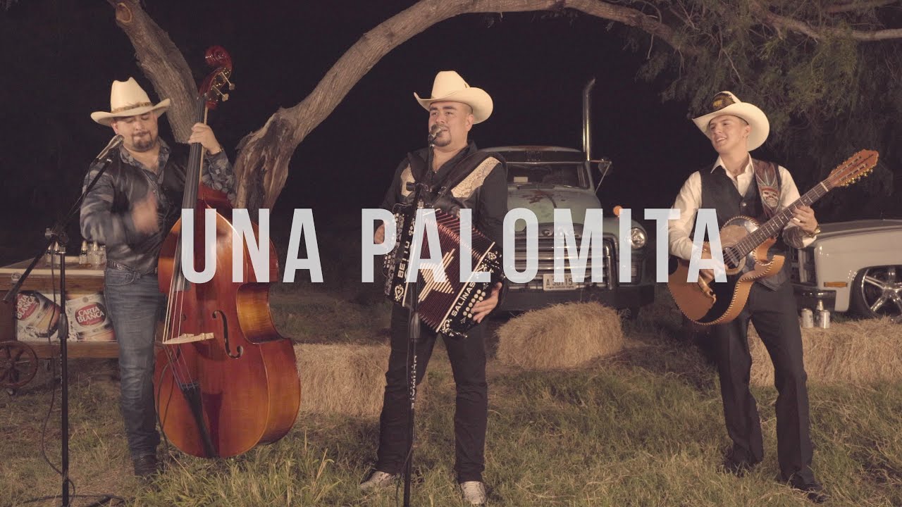Los Igualados - Una Palomita (en vivo)
