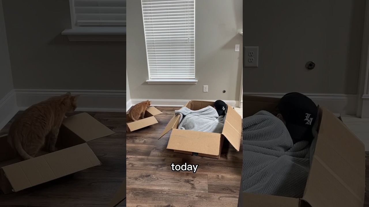 SPENDING A WHOLE DAY IN A BOX #viral