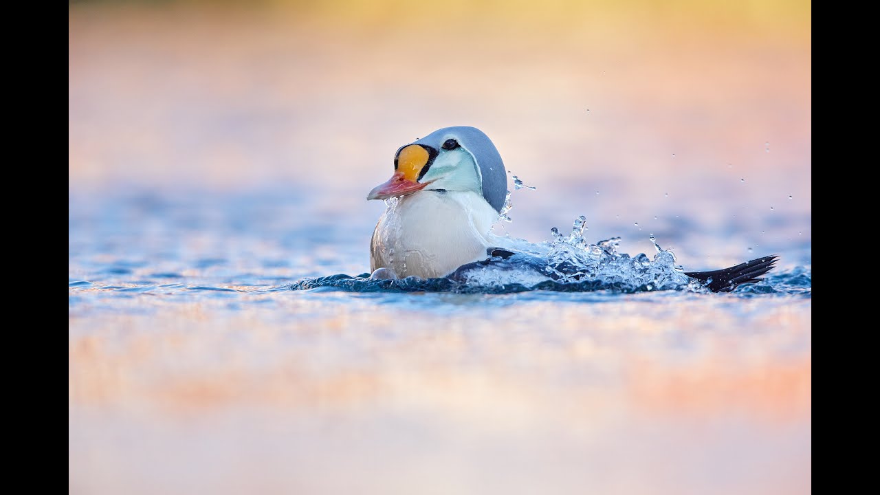 Fotoreise - Varanger (Norwegen)