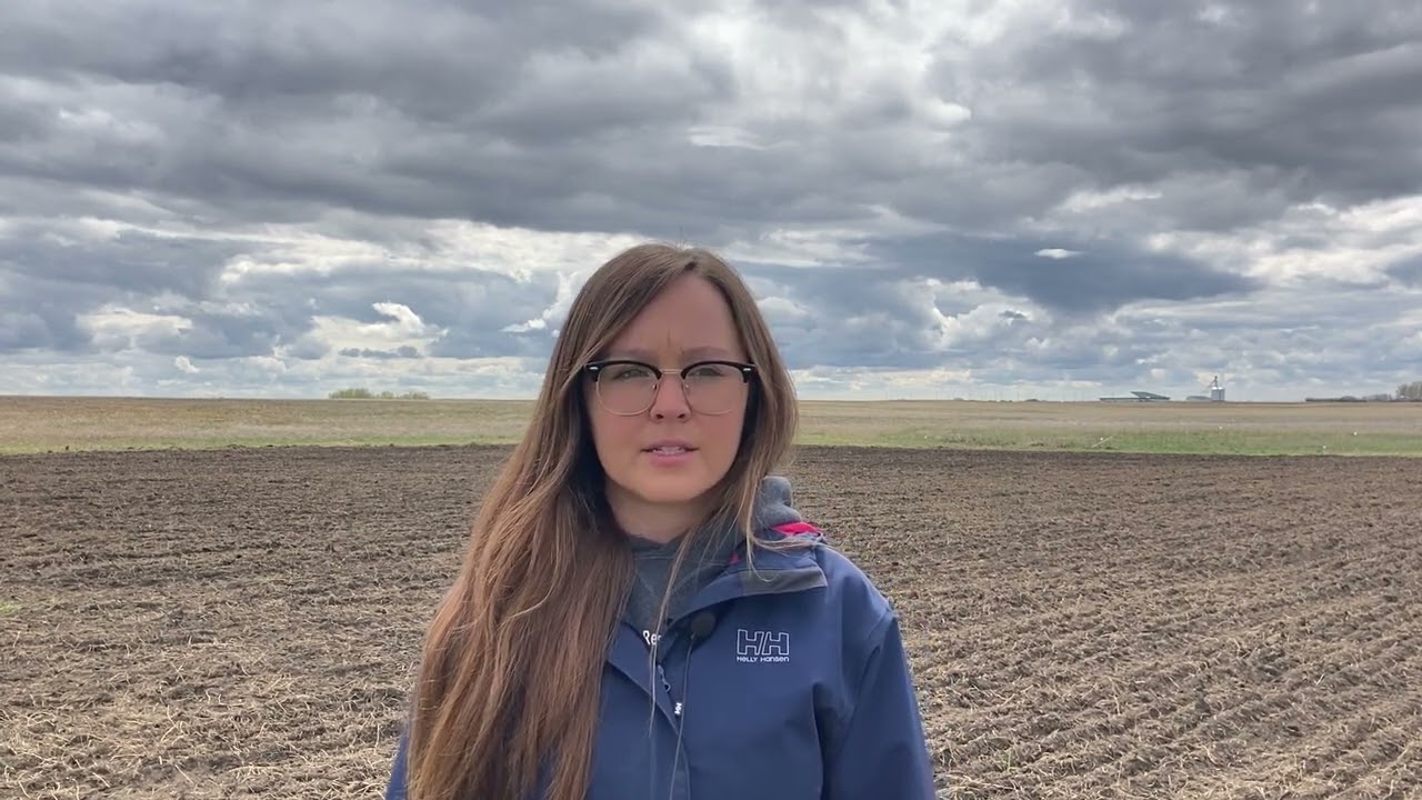 Establishment of perennial forage crops in saline soil - video #1