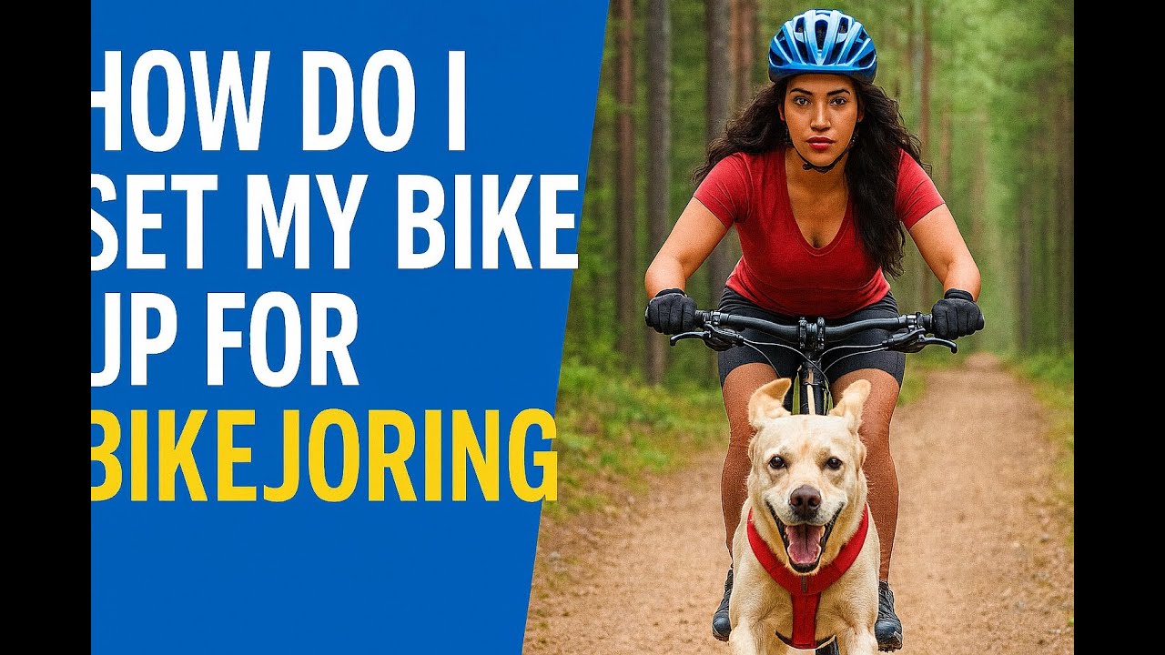 How to setup your bike for Bikejoring