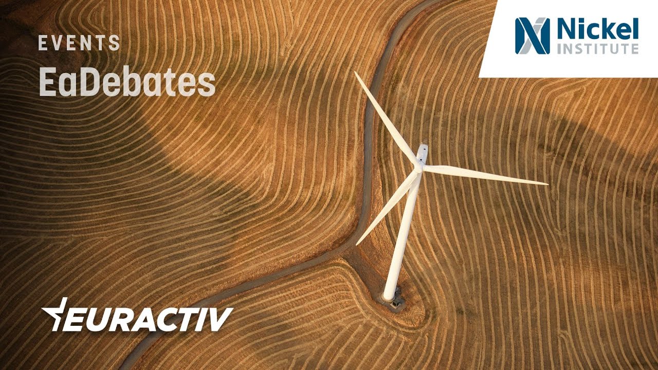 EU Energy transition - What role for critical raw materials?