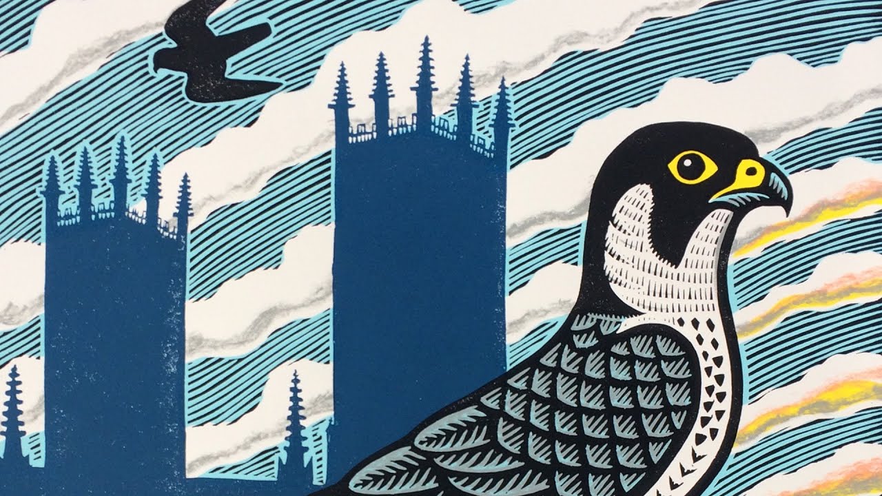 An Interview with Gerard Hobson, Artist about his lino-print of the Peregrines of York Minster