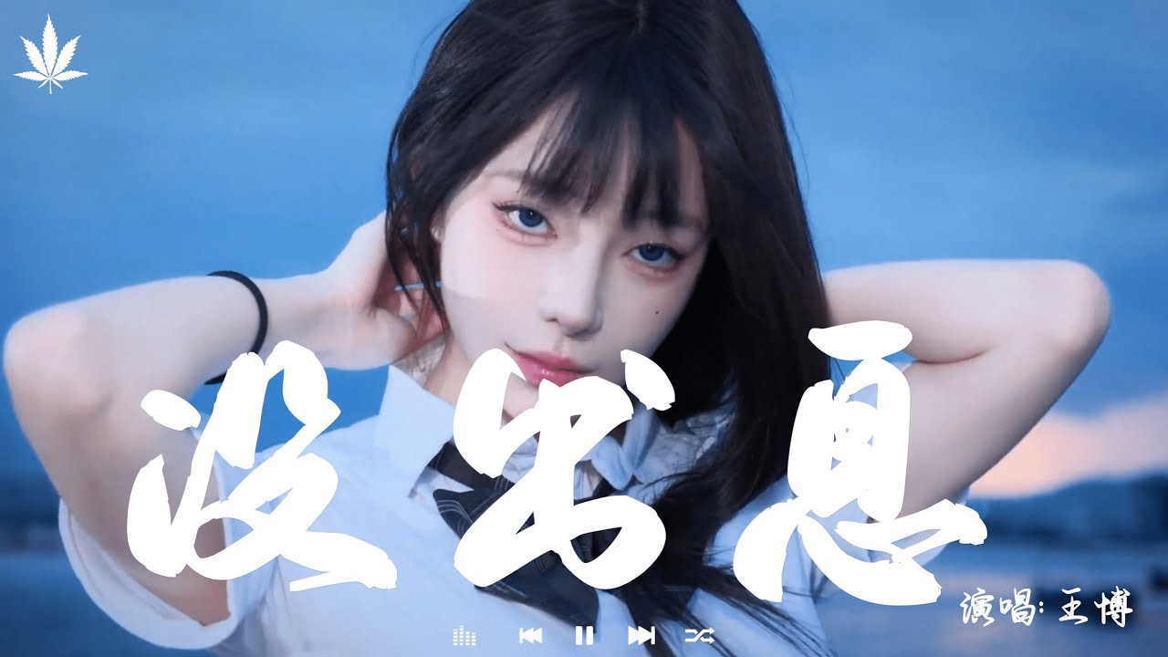 没出息 (完整加长版) - 王博 | Mei Chu Xi -   Wang Bo『本来应该从从容容 游刃有余，现在是匆匆忙忙 连滚带爬。』【動態歌詞MV】♪