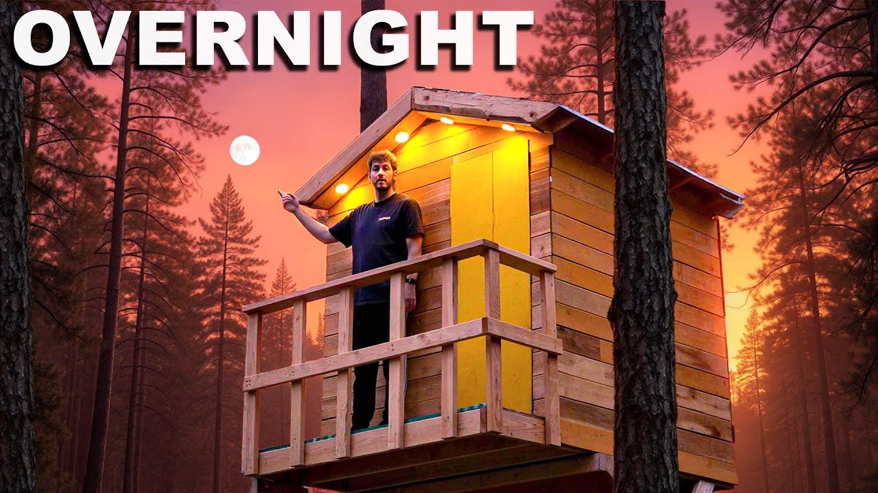 Overnight In My Backyard Treehouse!
