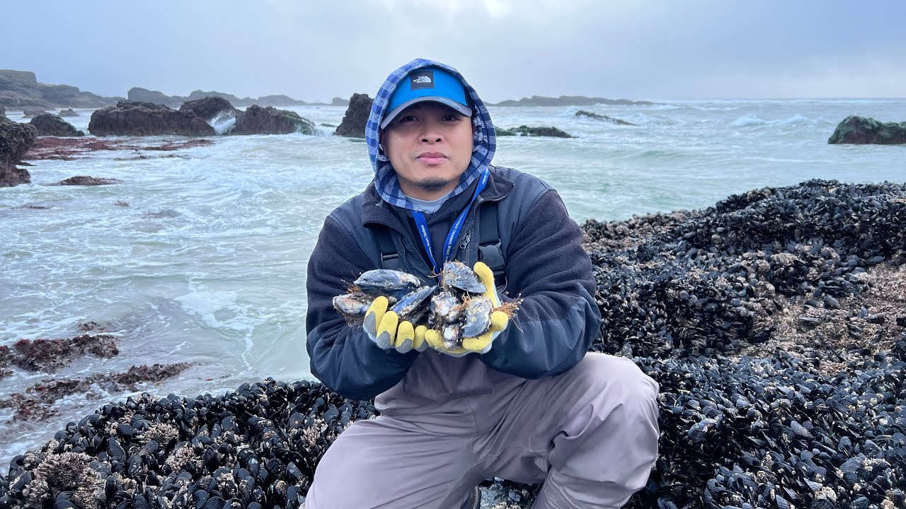Coastal Foraging-Mussels | Crabs | Shrimps Seafood Boil