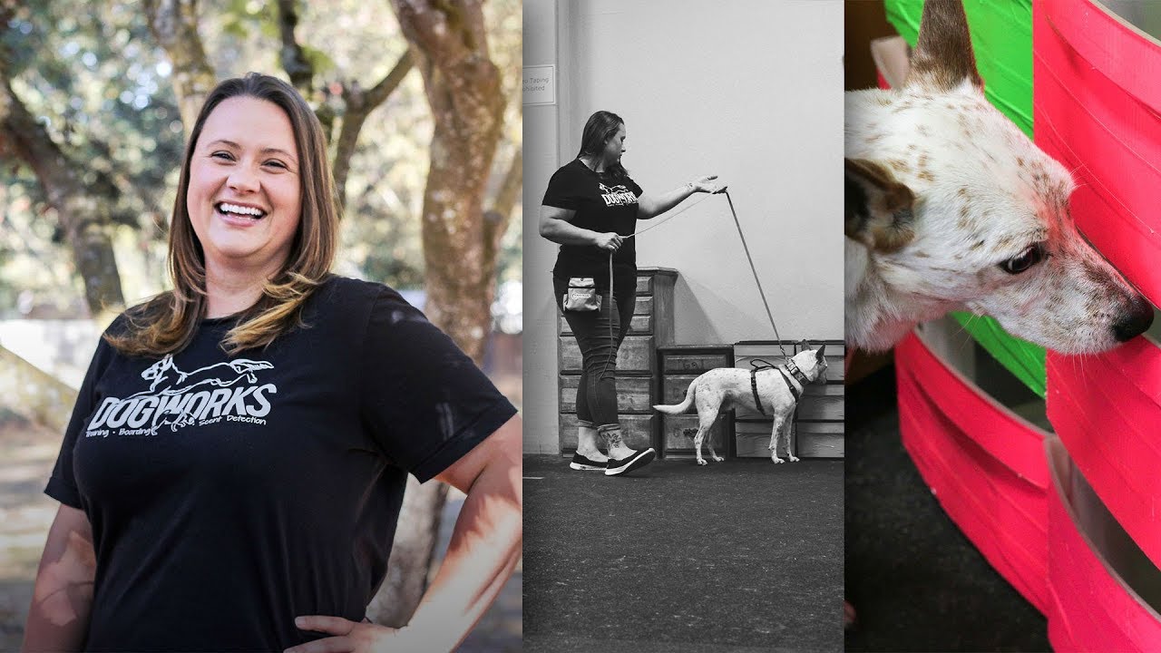 The Foundation of Sport Detection