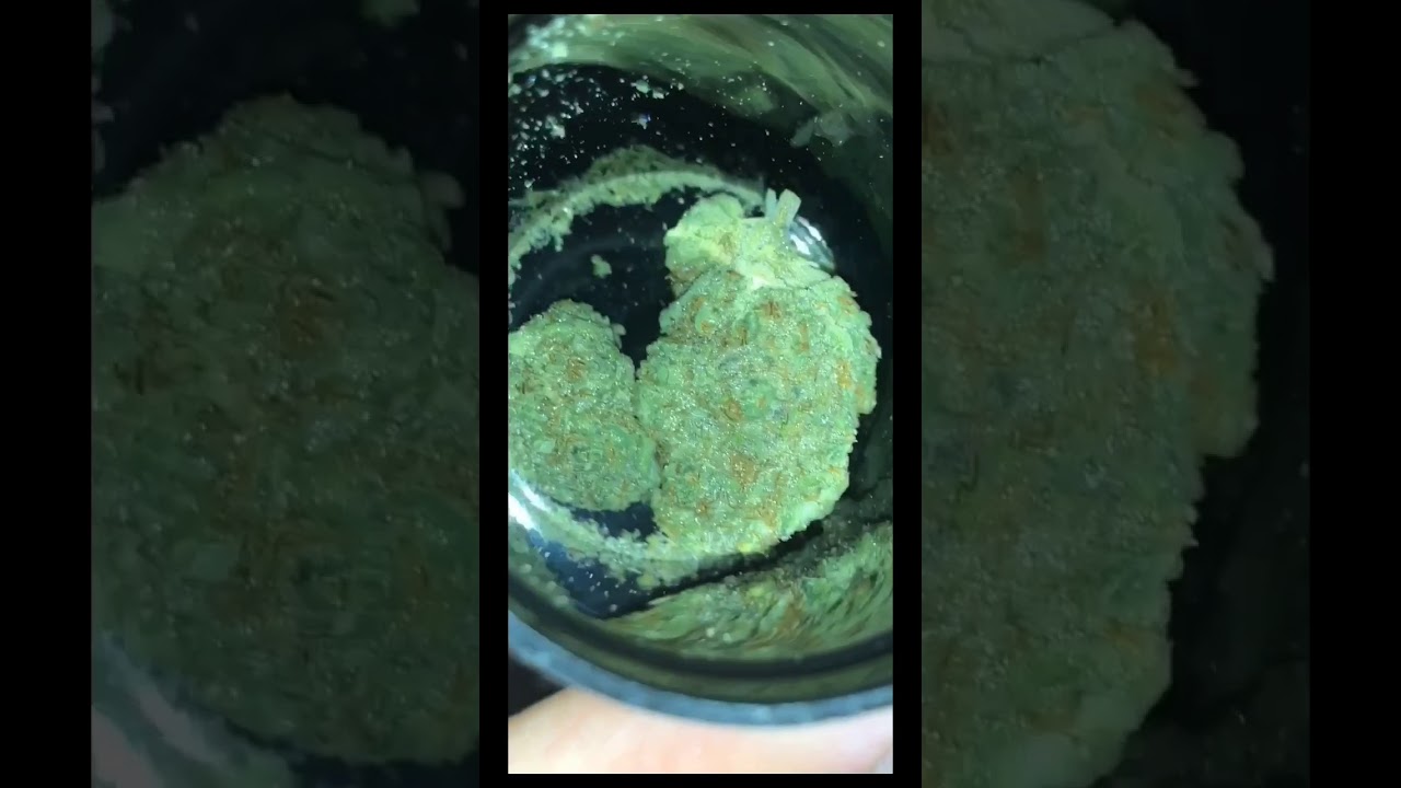 Cannabis Cup 2019 PICKUPS!!!