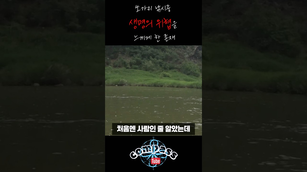 한탄강에서 쏘가리 낚시하다 생명의 위협을 느꼇습니다 #쏘가리낚시 #쏘가리 #한탄강