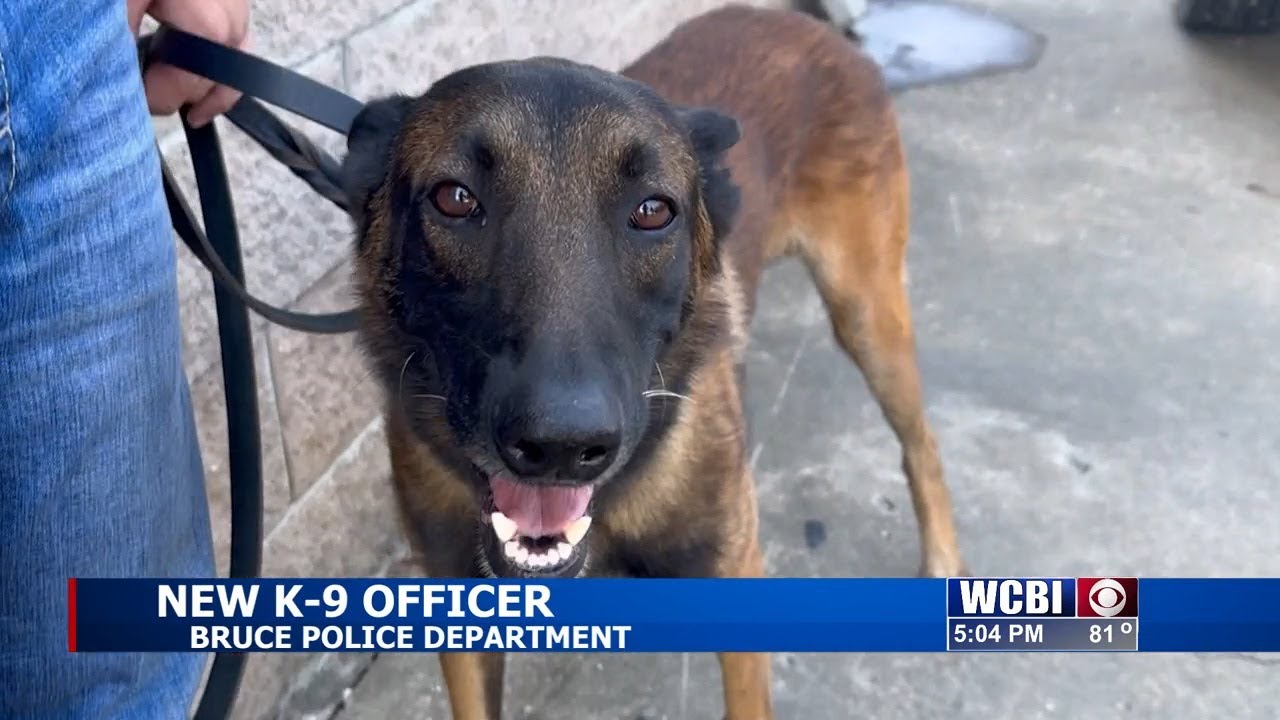 Police Department receives new K9 officer in Bruce