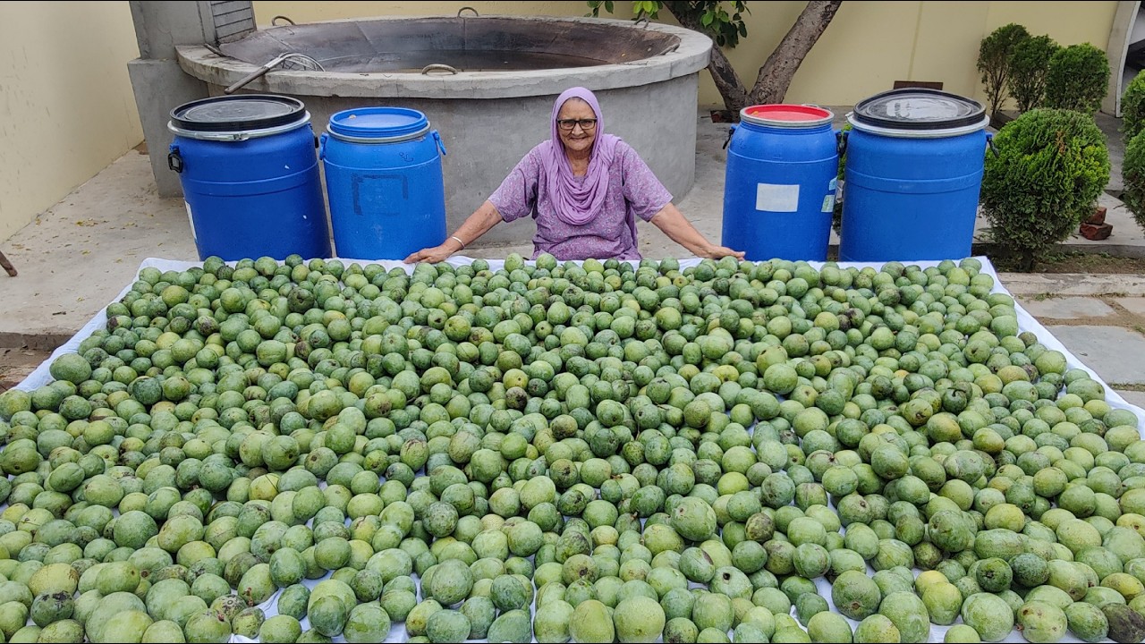 250Kg Mango Pickle Making | Veg Village Food