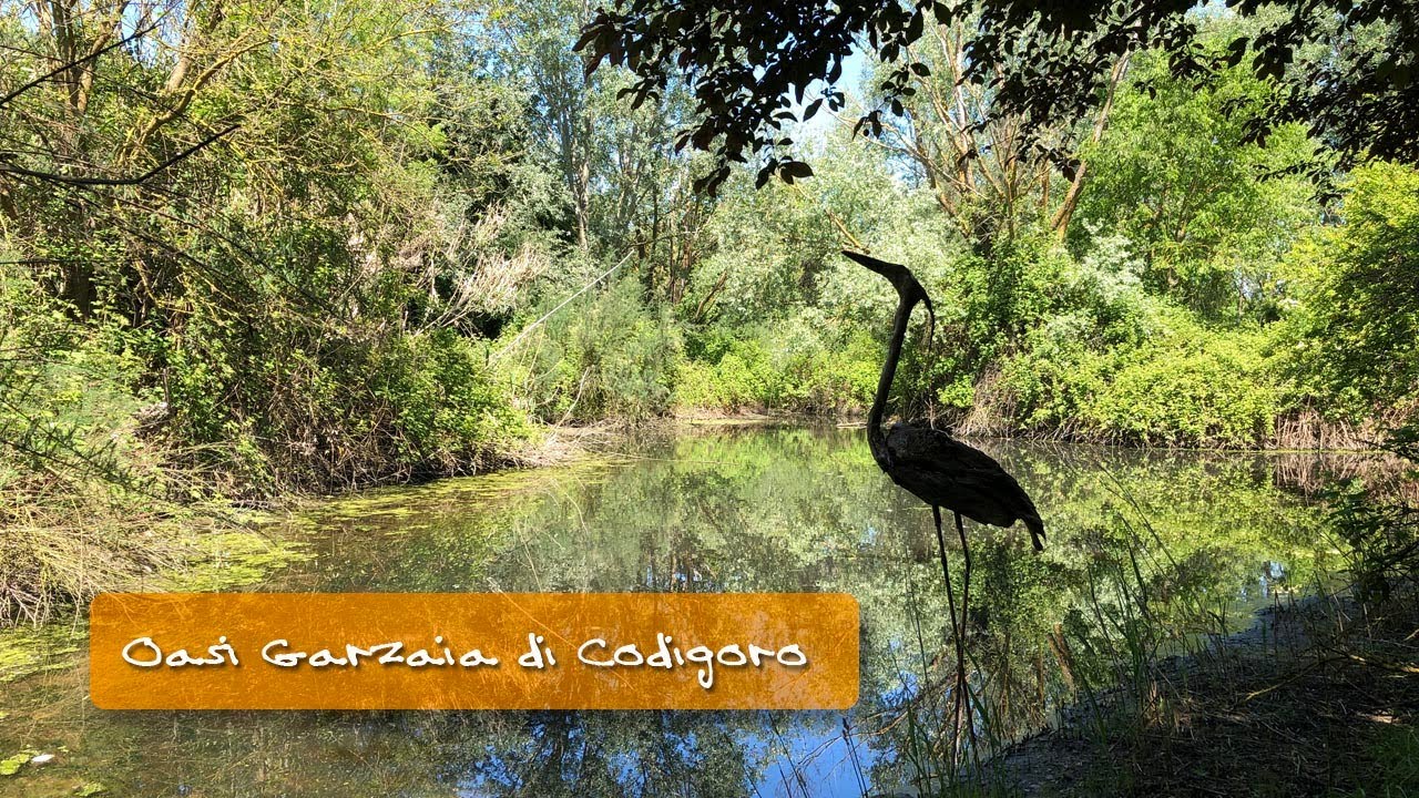 Oasi Garzaia di Codigoro