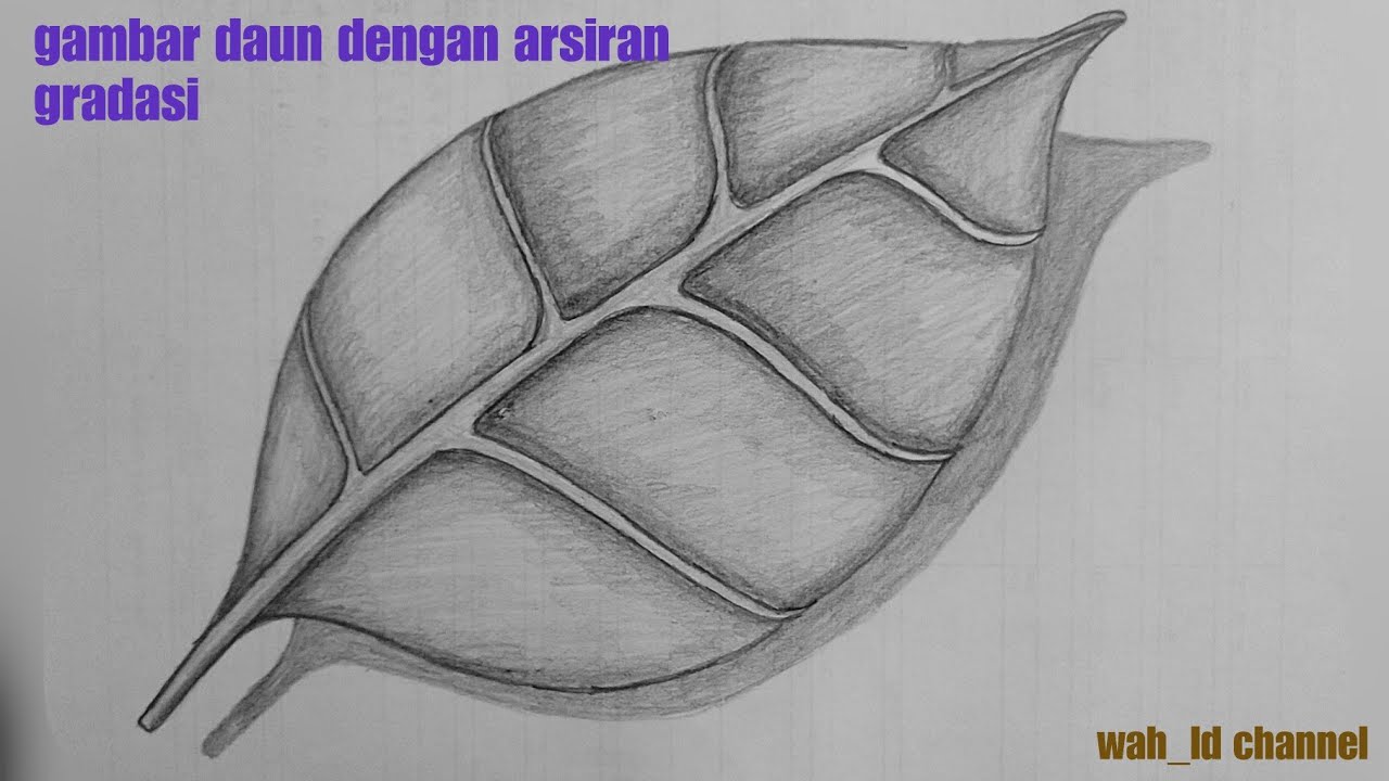 cara menggambar daun dengan teknik arsir || arsir gradasi || tutorial menggambar arsir mudah