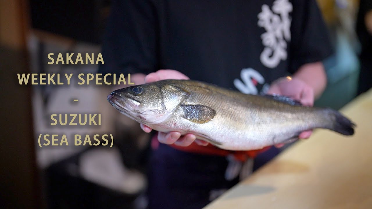 Sakana Weekly Special｜Suzuki (Sea Bass)