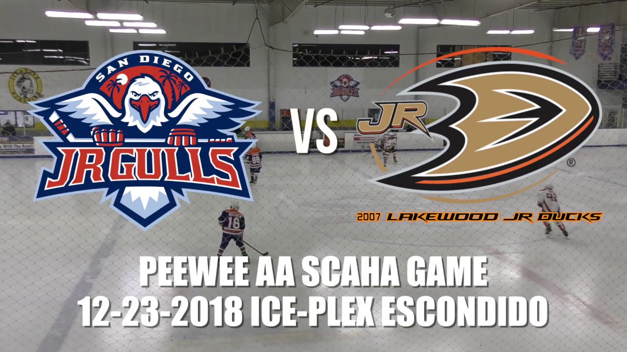 SCAHA GAME 2007 Lakewood Jr Ducks vs San Diego Jr Gulls. Peewee AA (12-23-2018)