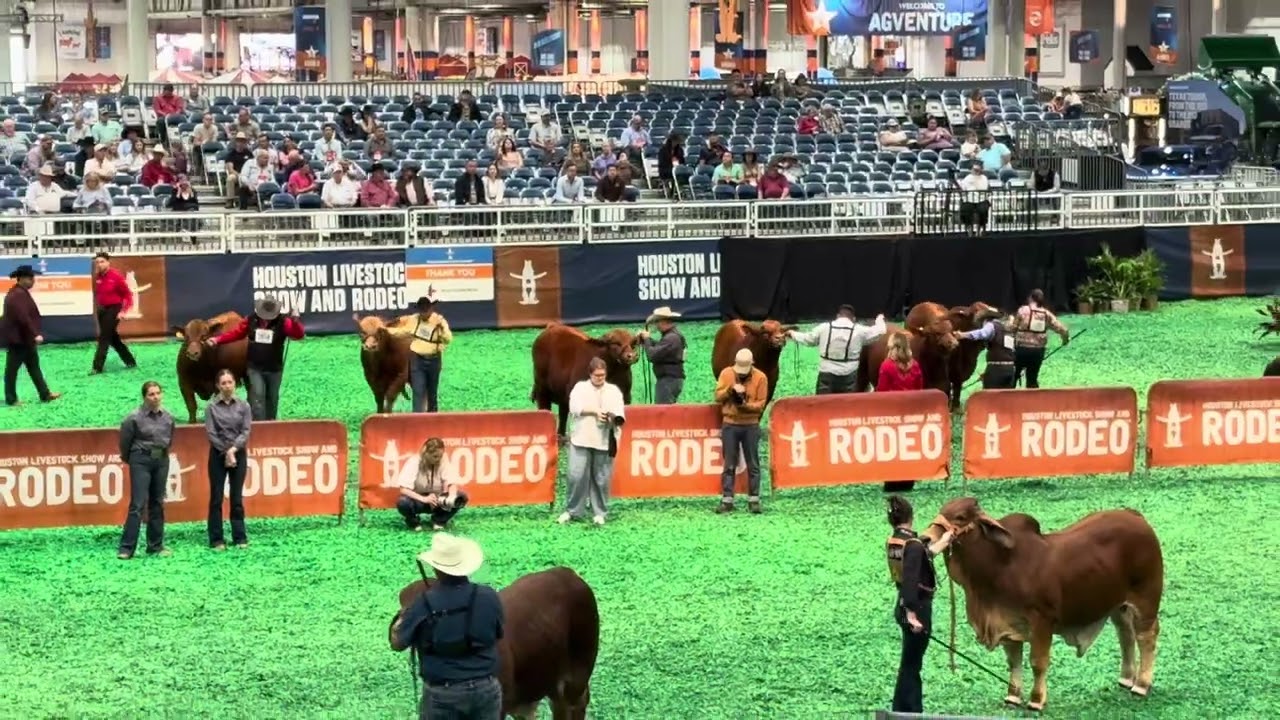 The International Brahman Show Houston Texas US 🇺🇸 2026 