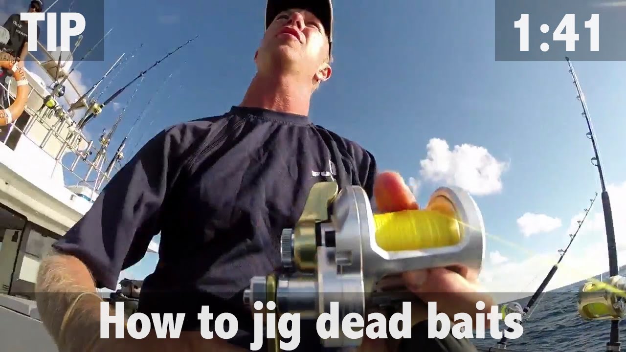 HOW TO JIG DEAD BAITS