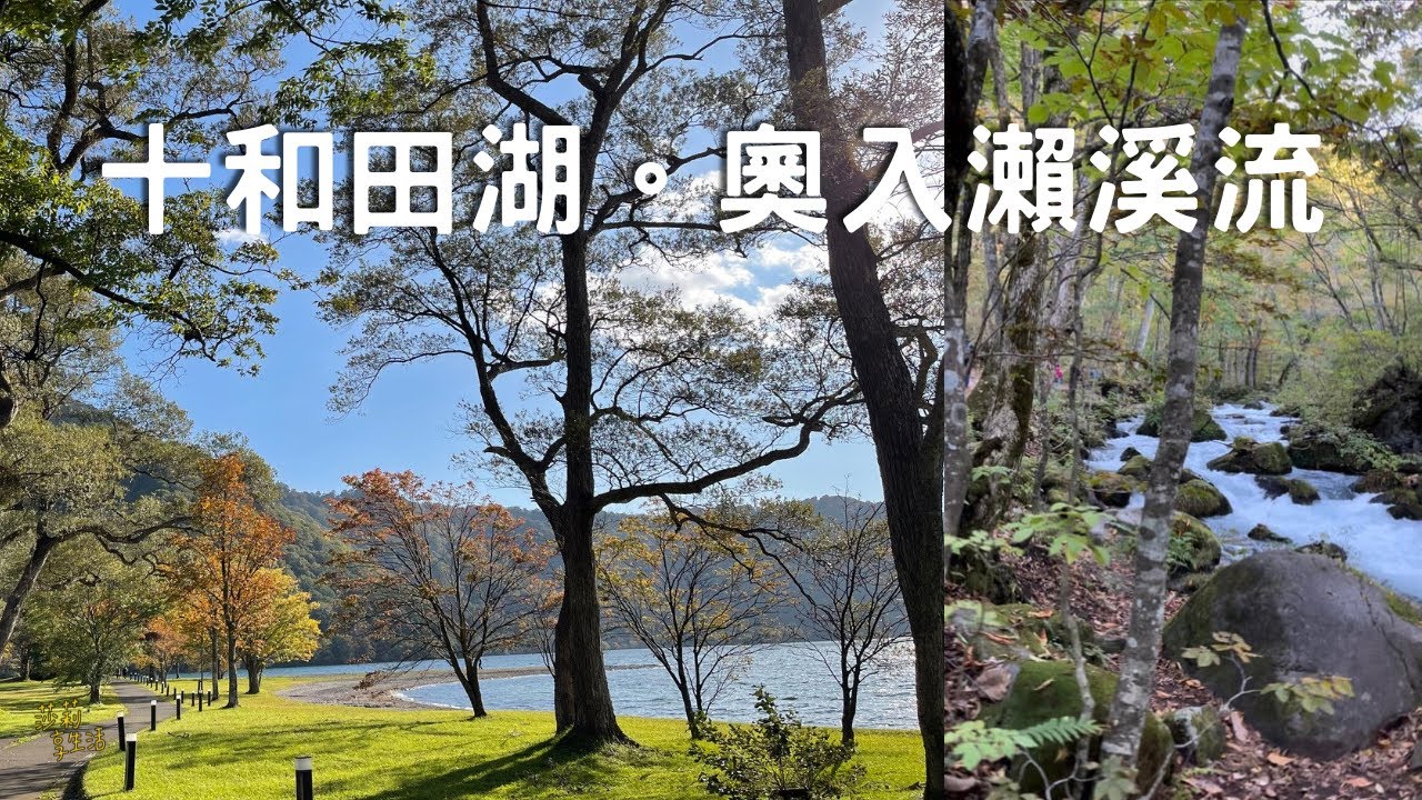 賞楓了｜日本東北 十和田湖 遊船&散冊，奧入瀨溪流 輕健行。