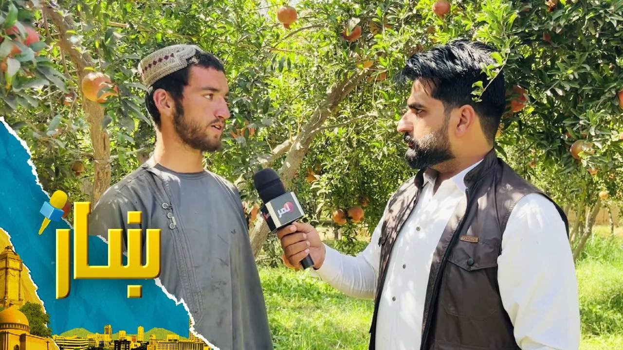 ښار ـ د کندهار خوندورو انارو په اړه ځانګړی راپور
