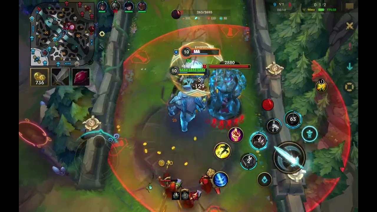 they fear voil bear / Top  Rank