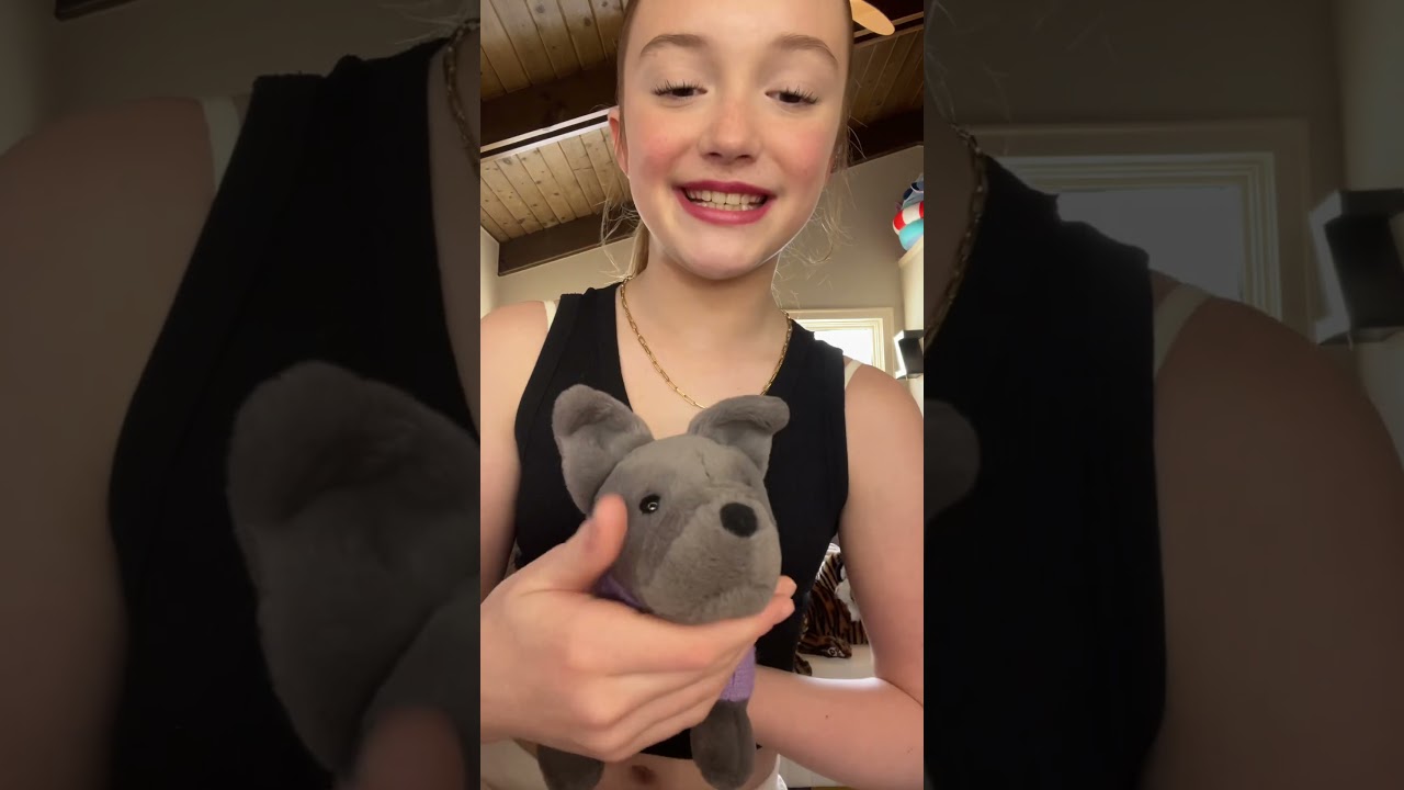 Jelly cat collection!!! 🪼🐱🤍