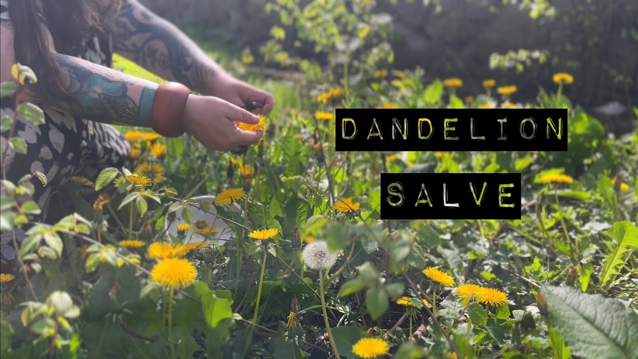 Make a DIY Dandelion Salve with me: A step by step guide to natural body care | Bohemian self care