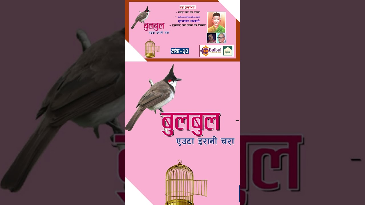 #bulbul #nepalichhapro #nepalisahitya #nepaligazal #gazalprogram #gazalbachan #gazal #shorts