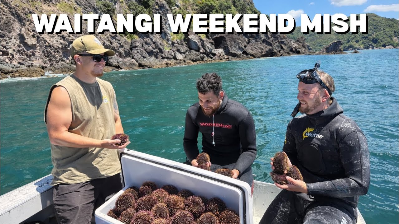 Waitangi Weekend with the Crew | Fishing, Diving, BBQ & Beers