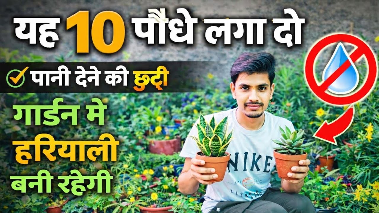 10 पौधे लगा लो,पानी देने की छुट्टी,पूरी गर्मियां गार्डन हरा भरा रहेगा 🪴🌿