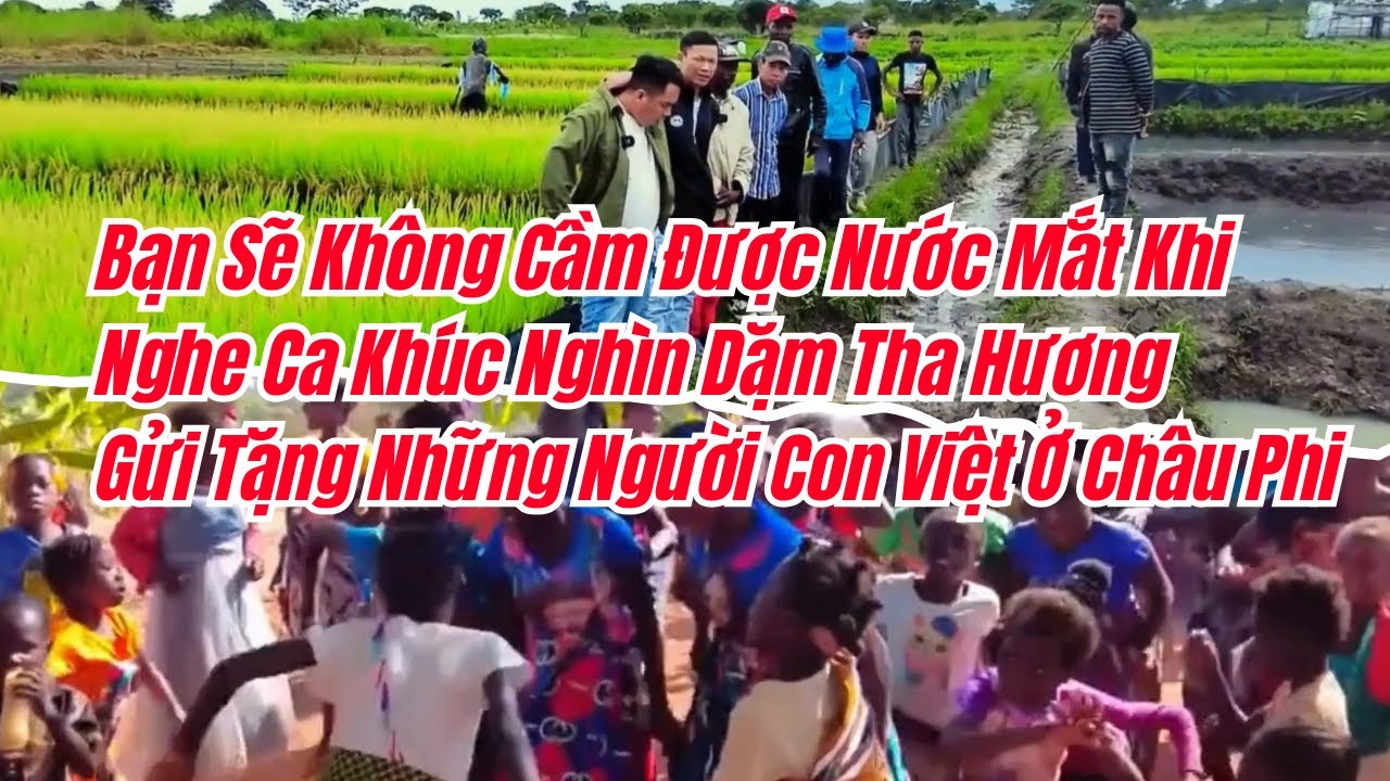 Không Cầm Được Nước Mắt Khi Nghe Ca Khúc NGHÌN DẬM THA HƯƠNG | Tặng Những Người Con Việt Ở Châu Phi