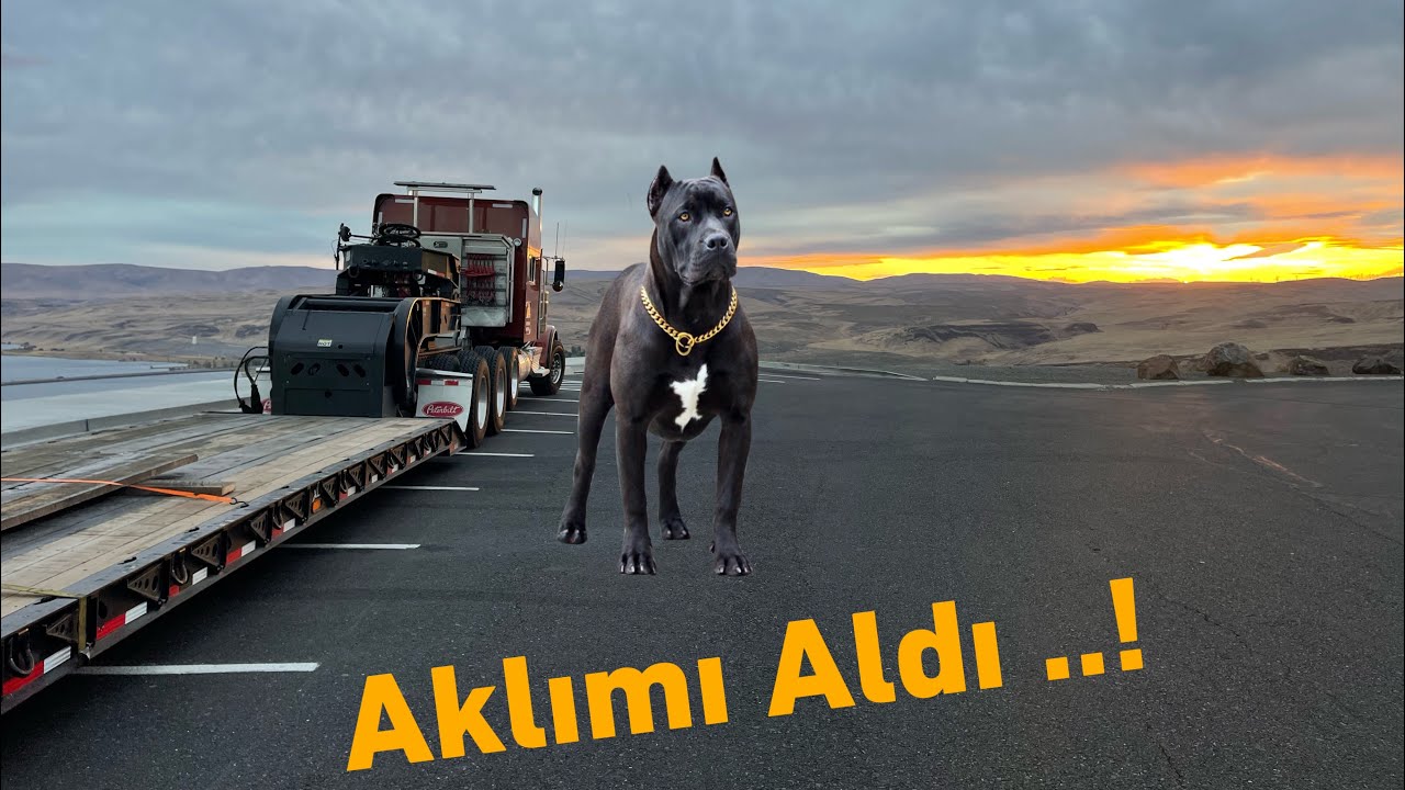 Batı’dan Doğu’ya Amerika  I90 WA to NJ