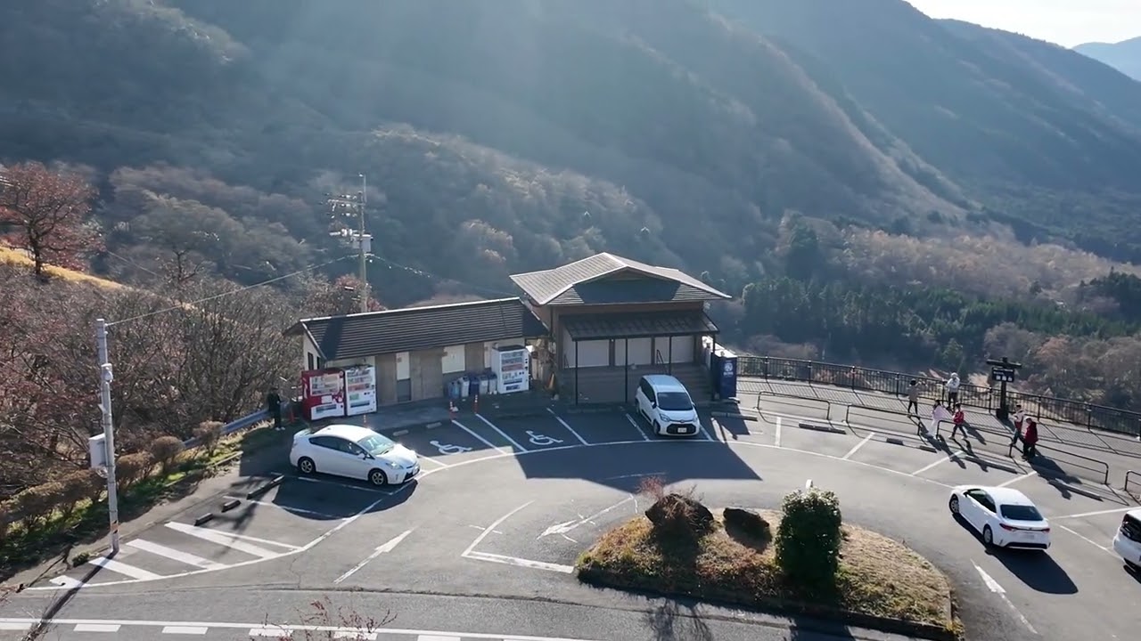 由布岳南山麓自然パーク　大分県由布市湯布院町　2025/12/10