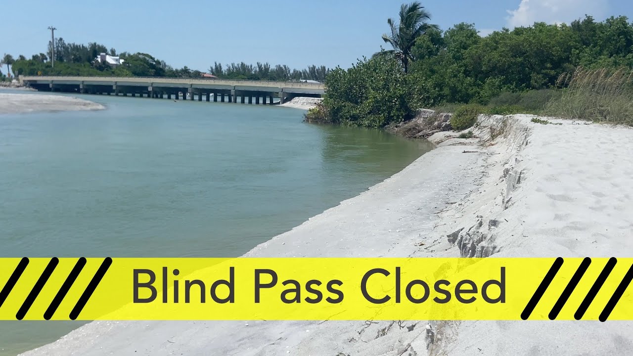 I love sea shells! The beach is closed but we're going to look for shells at low tide.