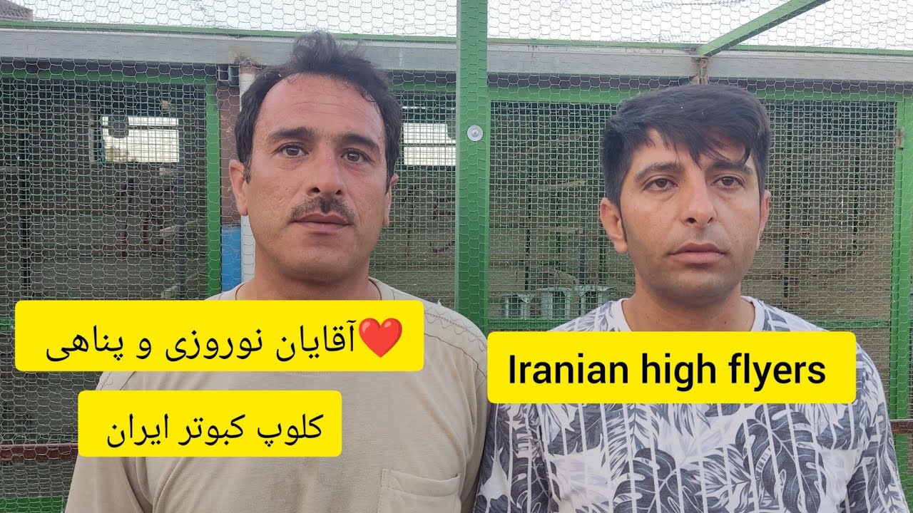 ❤️2 تیر 1402مسابقه آقایان نوروزی و پناهی از اصفهان با آقای مصطفی حسینی از کاشان   بتعداد 414 کبوتر