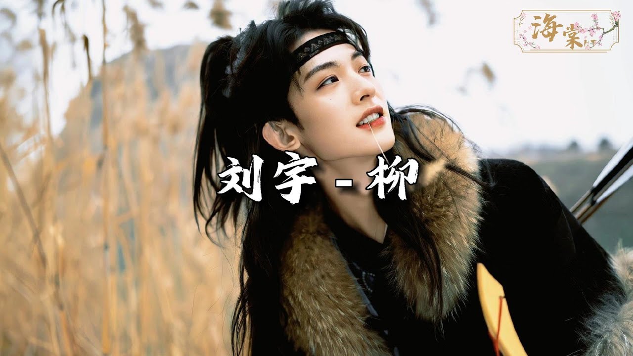 刘宇 - 柳『我欲寻你不觉醉流霞，等来年思念层层似瓦，。』【动态歌词MV】