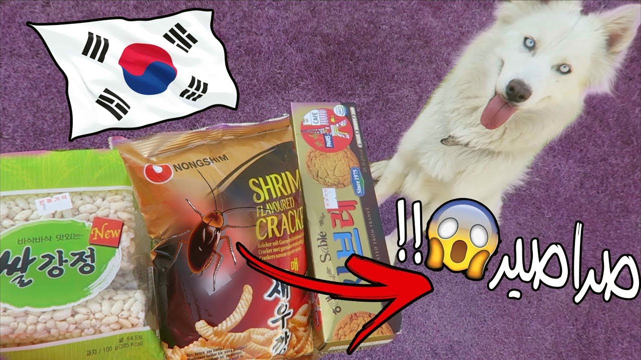 قررت امشي روز ونأكلها اكل كوري 😂!!