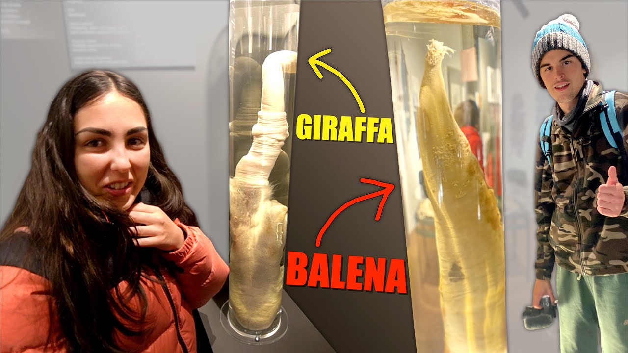 ho visitato il MUSEO dei CA*ZI 😏