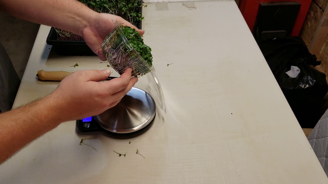 Growing Microgreens.  What packaging do I use?