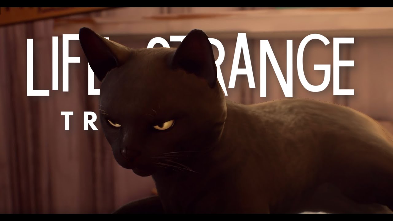 Life Is Strange: True Colors  04 : Brave Mietze Katze