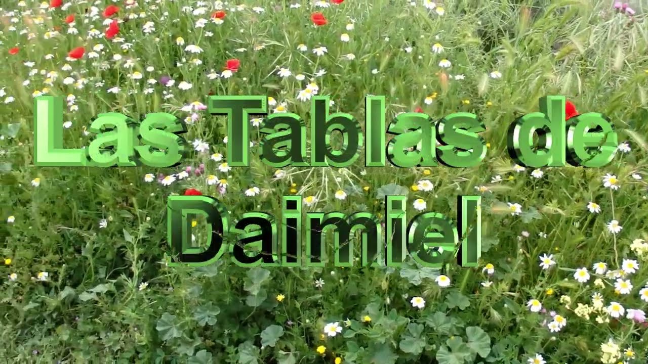 2025 05 04 Las Tablas de Daimiel