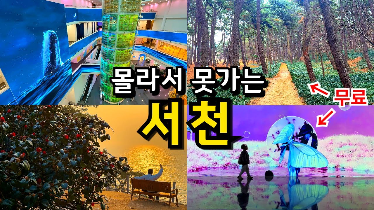 [국내여행] 반드시 가봐야 하는 충남 서천 당일치기 여행 Best5 (3월 4월 동백꽃개화) /신상명소, 카페, 맛집 포함