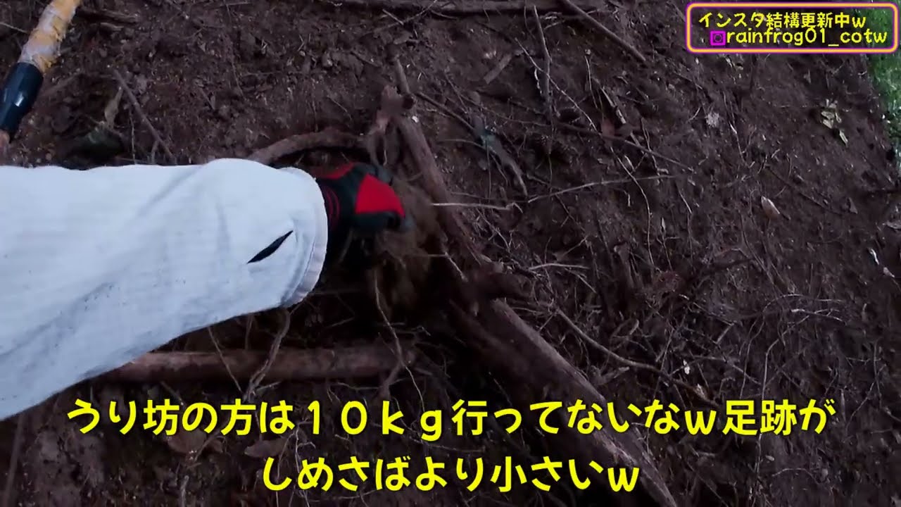 (まだまだ熊警戒中）変態忍者の、有害鳥獣駆除従事活動記・その３４８