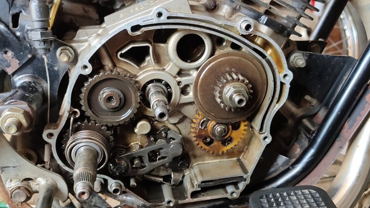 Yamaga Bike Clutch Assembly / Replace Clutch Arm & oil seal