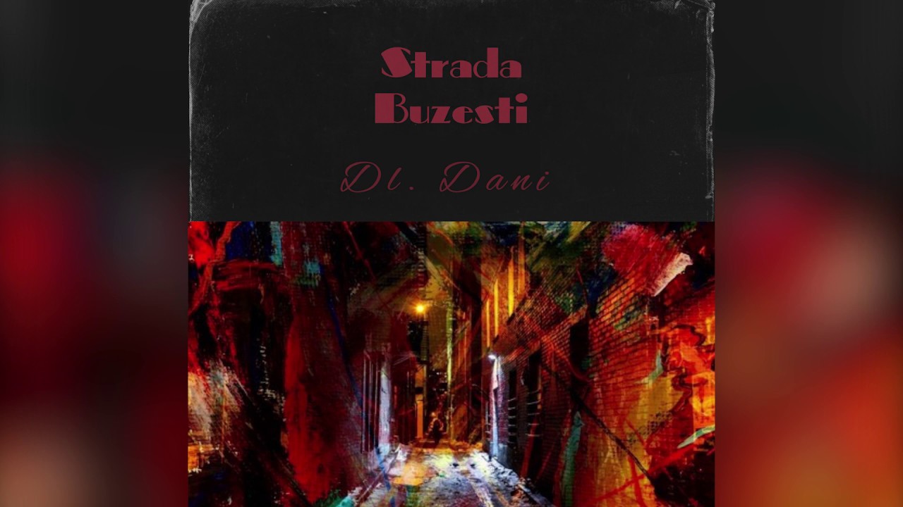 Dl. Dani - Strada Buzesti